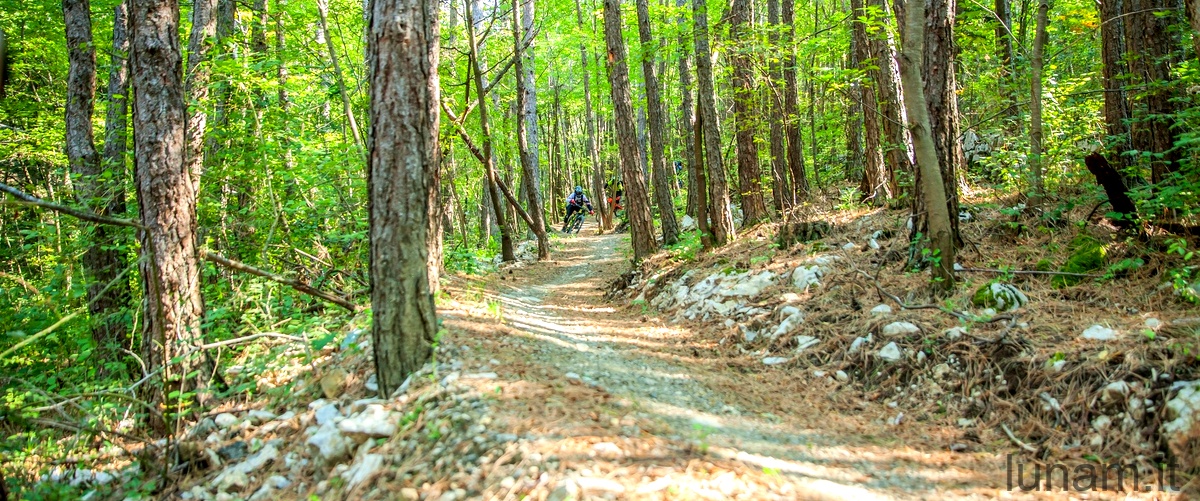 Come costruire un sentiero nel bosco passo dopo passo