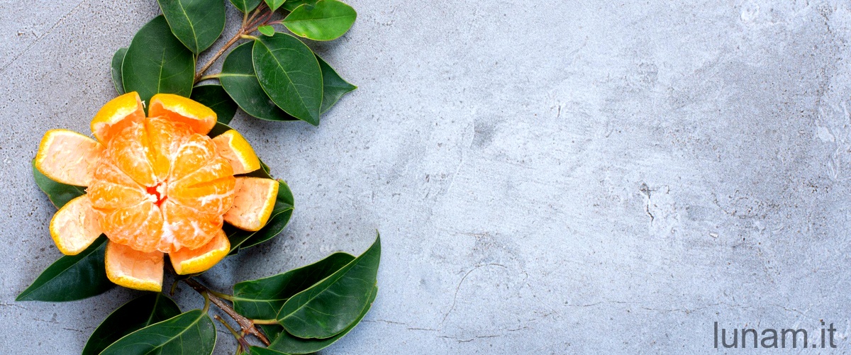 La frase corretta sarebbe: Perché le foglie del mandarino si arricciano?