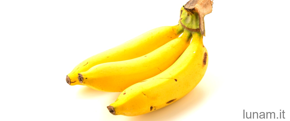 Quante volte il banano produce banane?La domanda è già corretta.