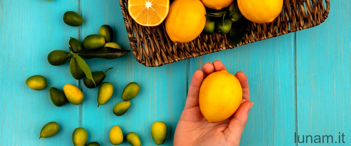 Quanto tempo ci mette un seme di limone a germogliare?